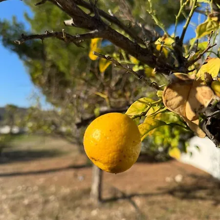 Villa White Cove Villa, Limassol