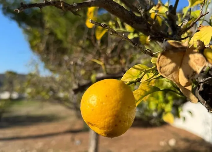 וילה White Cove Villa, Limassol